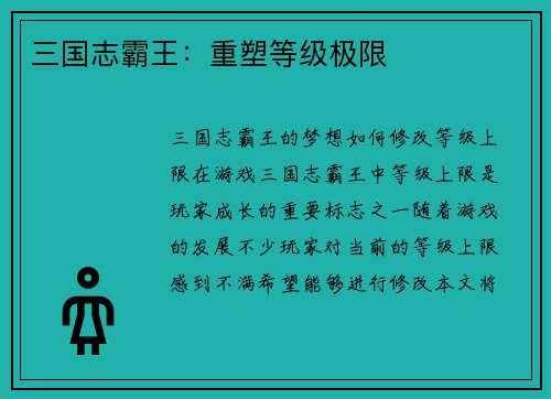 三国志霸王：重塑等级极限